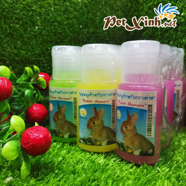 Sữa tắm mini cho thỏ