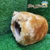 Nhà vải khỉ bông