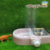 Chén inox bình nước gắn chuồng 1