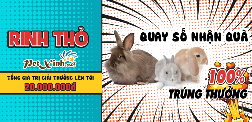 Rinh Thỏ quay số nhận quà 100% trúng thưởng