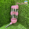 Bình nước nhỏ mẫu mới