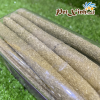 Thức ăn mài răng cho thỏ bọ