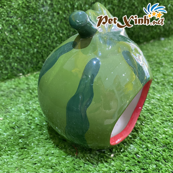 Nhà ngủ dưa hấu