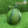 Nhà ngủ dưa hấu