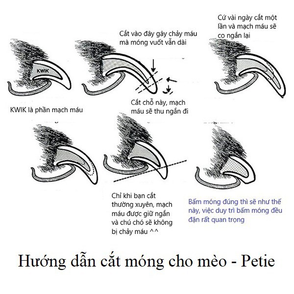 Kềm cắt móng taotaopets 3 Bộ kềm dũa cắt tỉa móng cho thú cưng