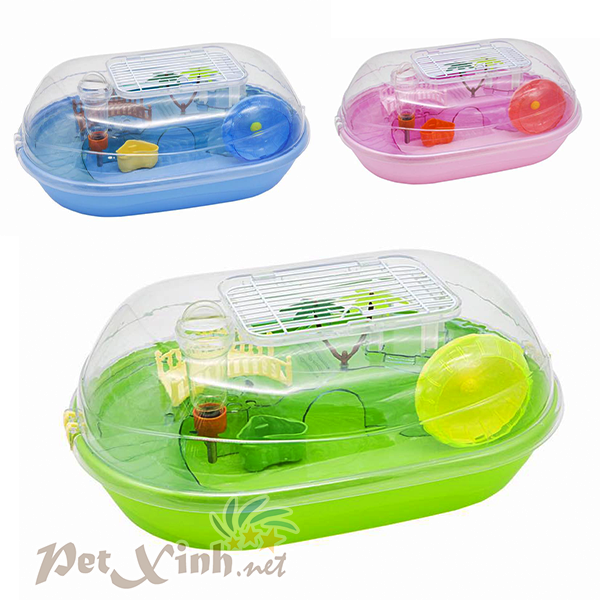 lồng hamster bãi biển Hawaiia