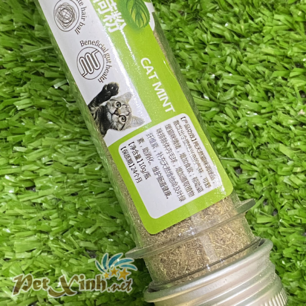 Cỏ mèo catsnip CAT MINT