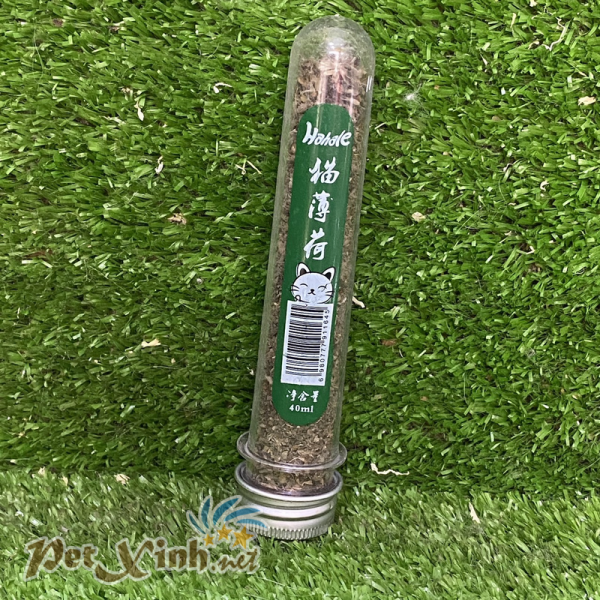 Cỏ mèo catnip Hahale
