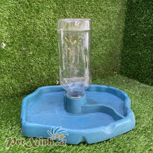 Chén ăn bình nước cho bò sát