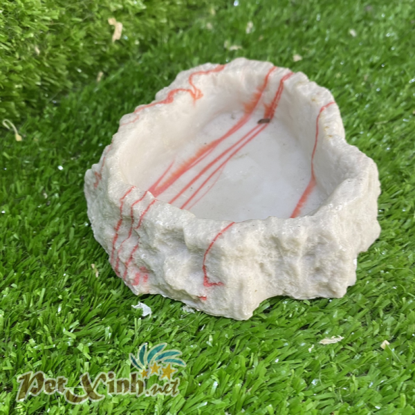 Chén ăn hoa cương tròn đỏ cho bò sát