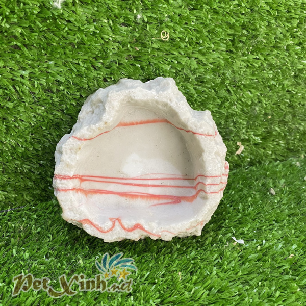 Chén ăn hoa cương tròn đỏ cho bò sát
