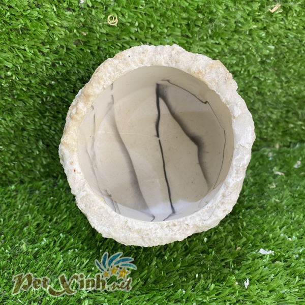 Chén ăn hoa cương tròn đen cho bò sát