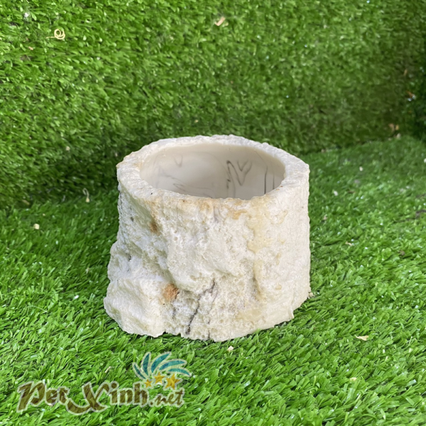 Chén ăn hoa cương tròn đen cho bò sát