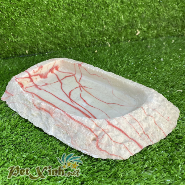Chén đá cẩm thạch cho bò sát
