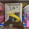 Lồng hamster tường thành mini