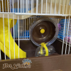 Lồng hamster tường thành mini