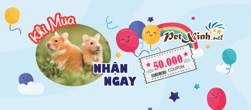 banner khuyến mãi hamster bear