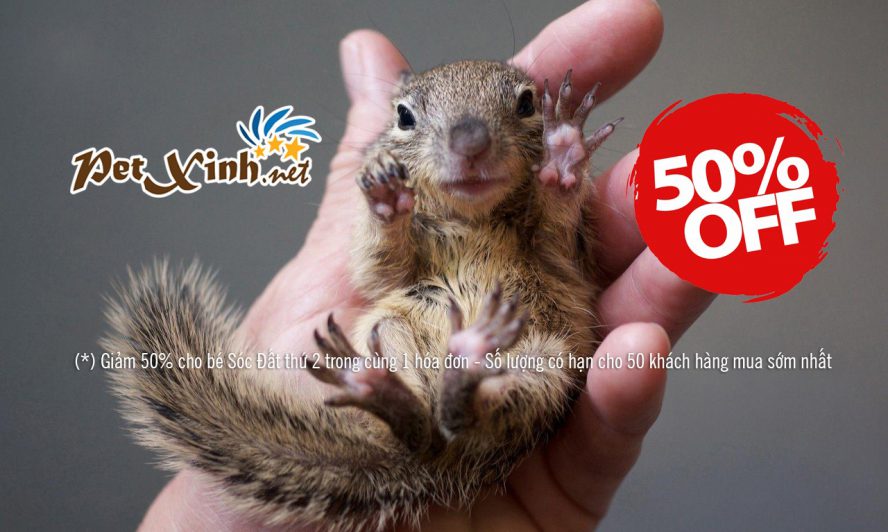 sóc đất PetXinh giảm giá 50%.