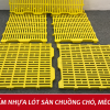Tấm nhựa lót sàn cho chó mèo Loại 1 40x55cm 1kg45 1