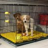 tấm nhựa lót sàn chó mèo, tấm nhựa lót sàn chuồng chó, pallet nhựa lót sàn