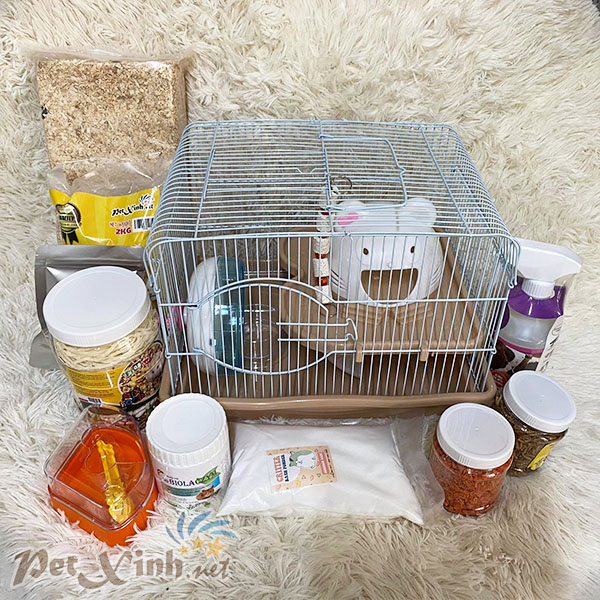 Combo hamster nhà mèo