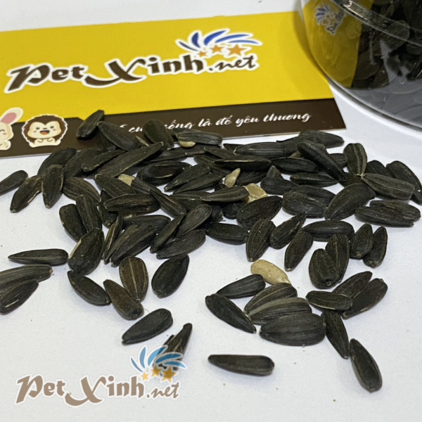 hạt hướng dương Nga hạt đen nhỏ vỏ mỏng
