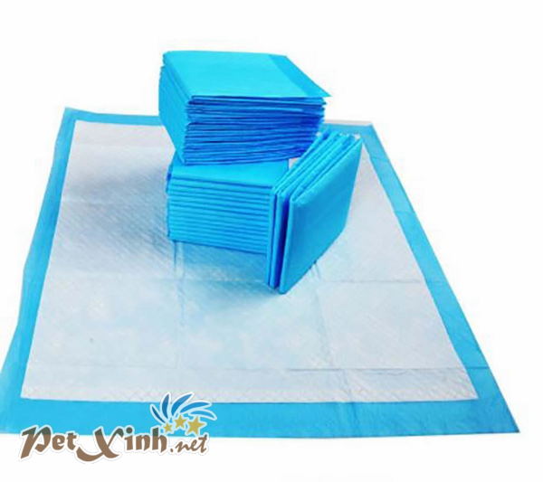 Tã giấy Doog and Caat siêu thấm hút lót chuồng dành cho chó mèo bịch 100 cái