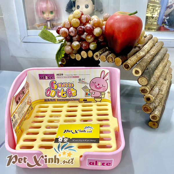 khay vệ sinh cho thỏ bọ hình chữ nhật