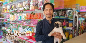 Chó Pug mặt xệ 5