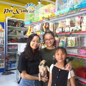 Chó Pug mặt xệ 13