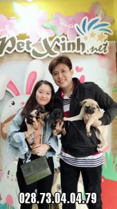 Chó Pug mặt xệ 3
