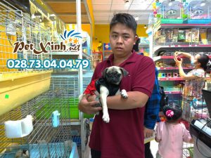 Chó Pug mặt xệ 17