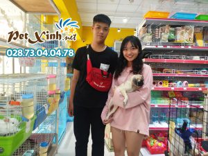 Chó Pug mặt xệ 14
