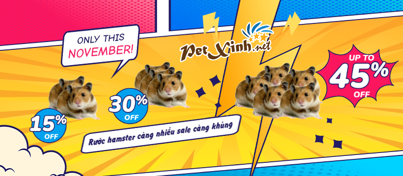 PetXinh khuyến mãi hamster bear