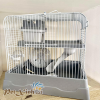 Lồng hamster vạn lý trường thành