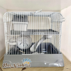 Lồng hamster vạn lý trường thành