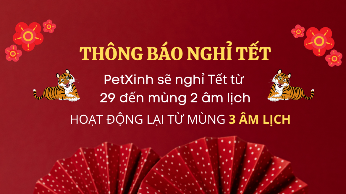 PetXinh thông báo nghỉ tết từ 29 đến mùng 2 âm lịch 1 Petxinh thông báo nghỉ tết