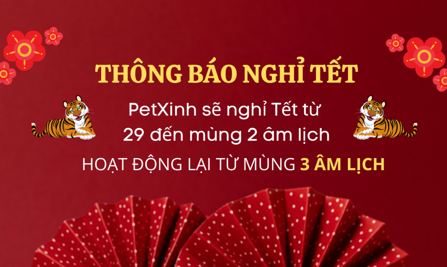 Petxinh thông báo nghỉ tết