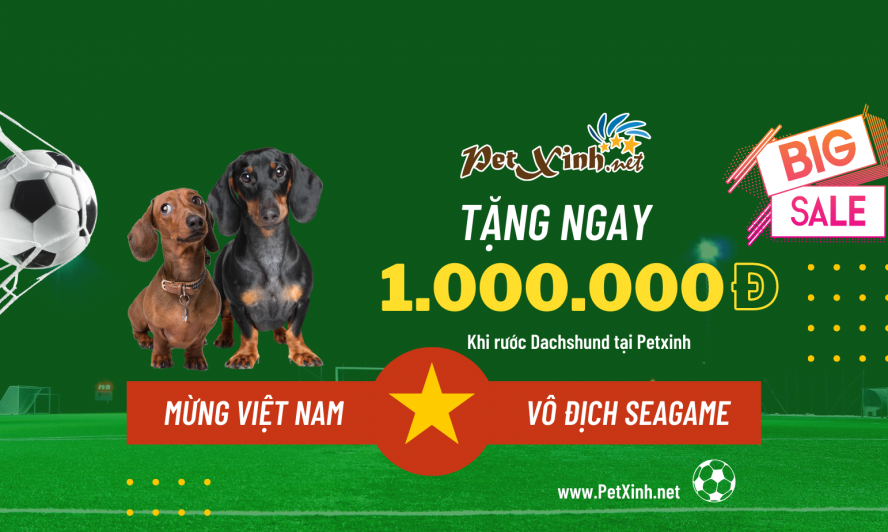 Mừng Việt Nam vô địch seagame 31 petxinh tặng khách hàng 1 triệu đồng