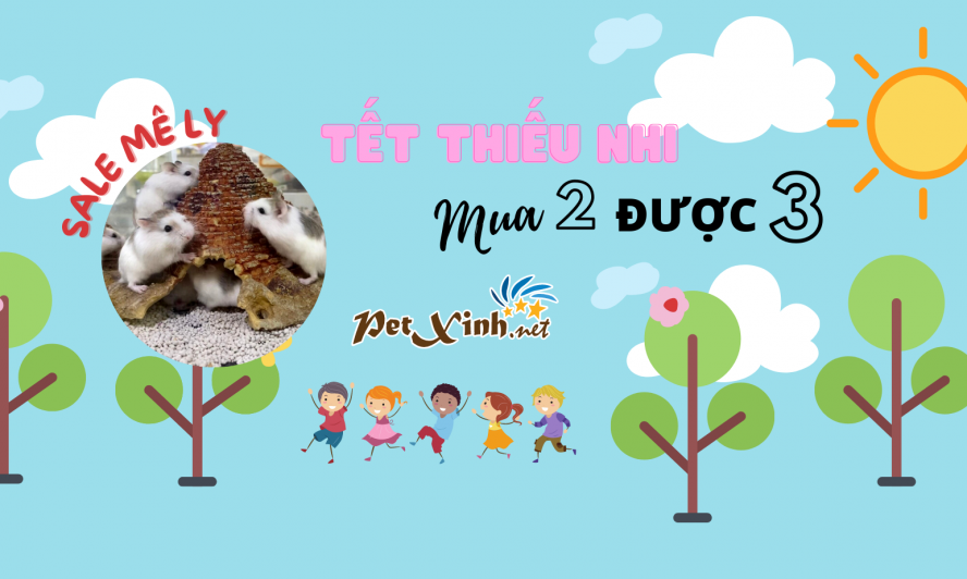 "QUỐC TẾ THIẾU NHI" Mua 2 Tặng 1 1