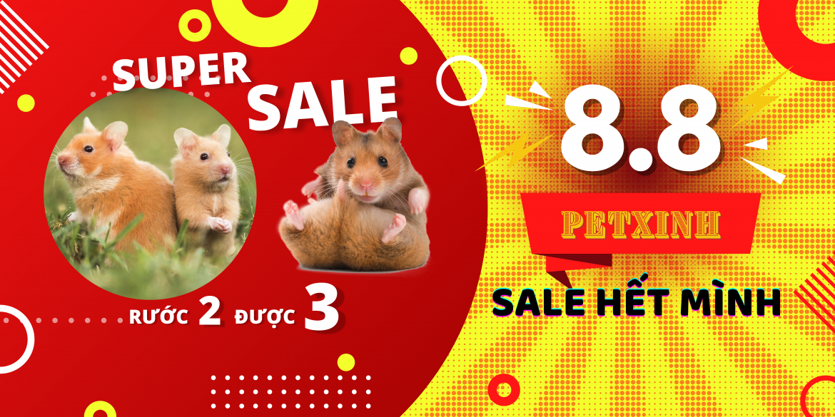 Ngày hội SIÊU SALE "HAMSTER" 8/8 1 sale hamster bear giá rẻ