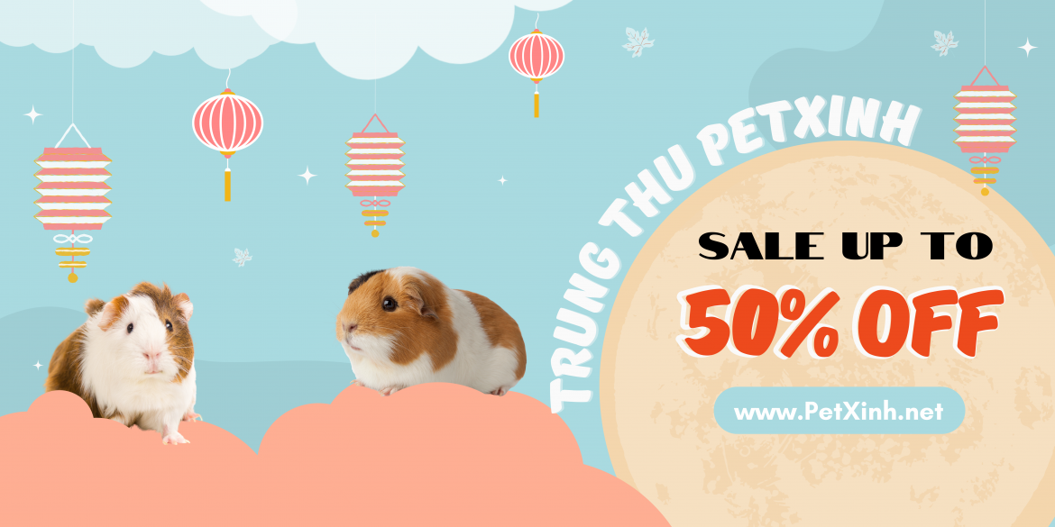 bọ ú khuyến mãi 50% trung thu 2022