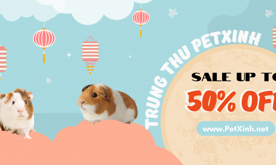bọ ú khuyến mãi 50% trung thu 2022