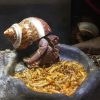ốc mượn hồn