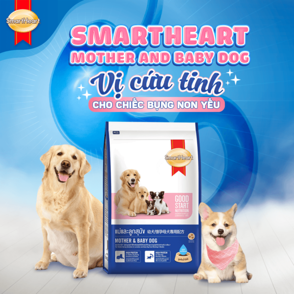 Hạt cho chó Smart Heart Mother Baby Dog 15kg Hạt cho chó bầu và chó sơ sinh