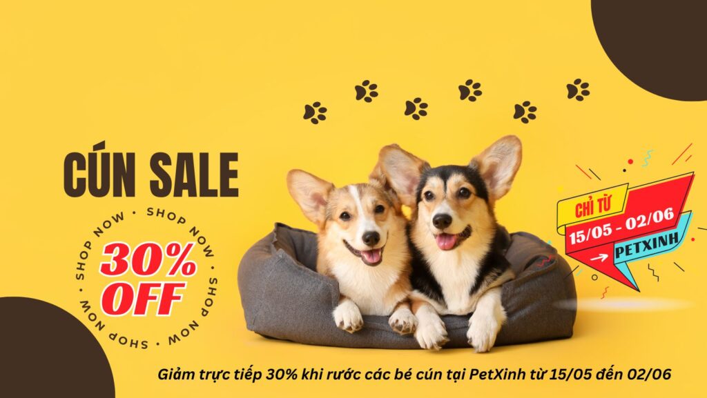 Giảm 30% khi rước cún tại PetXinh 1