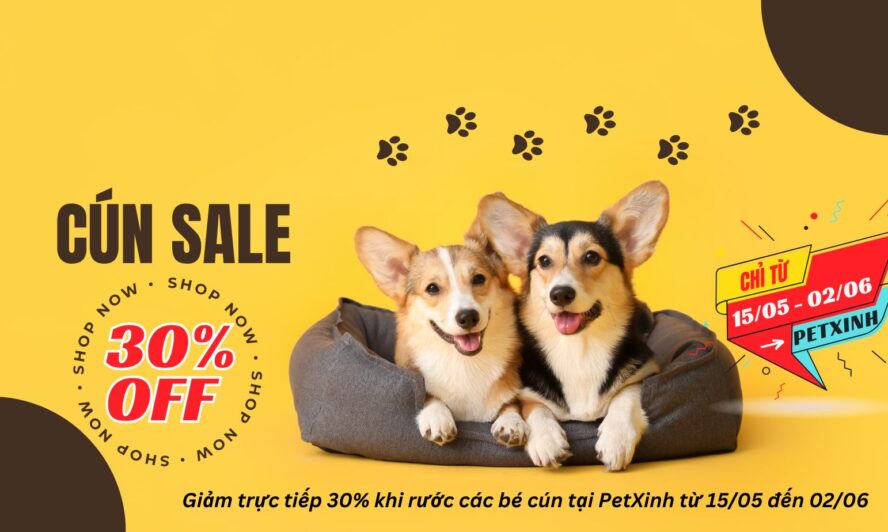 Giảm 30% khi rước cún tại PetXinh 5