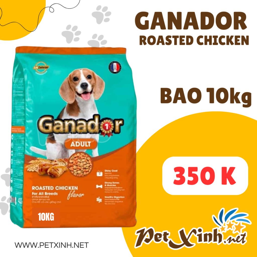 Đại lý thức ăn chó mèo giá gốc - PetXinh Miễn phí vận chuyển và quà tặng hấp dẫn! 2
