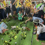 Hình ảnh buổi offline thỏ 02/06 tại PetXinh 32