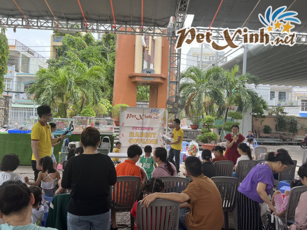 Hình ảnh buổi offline thỏ 02/06 tại PetXinh 28